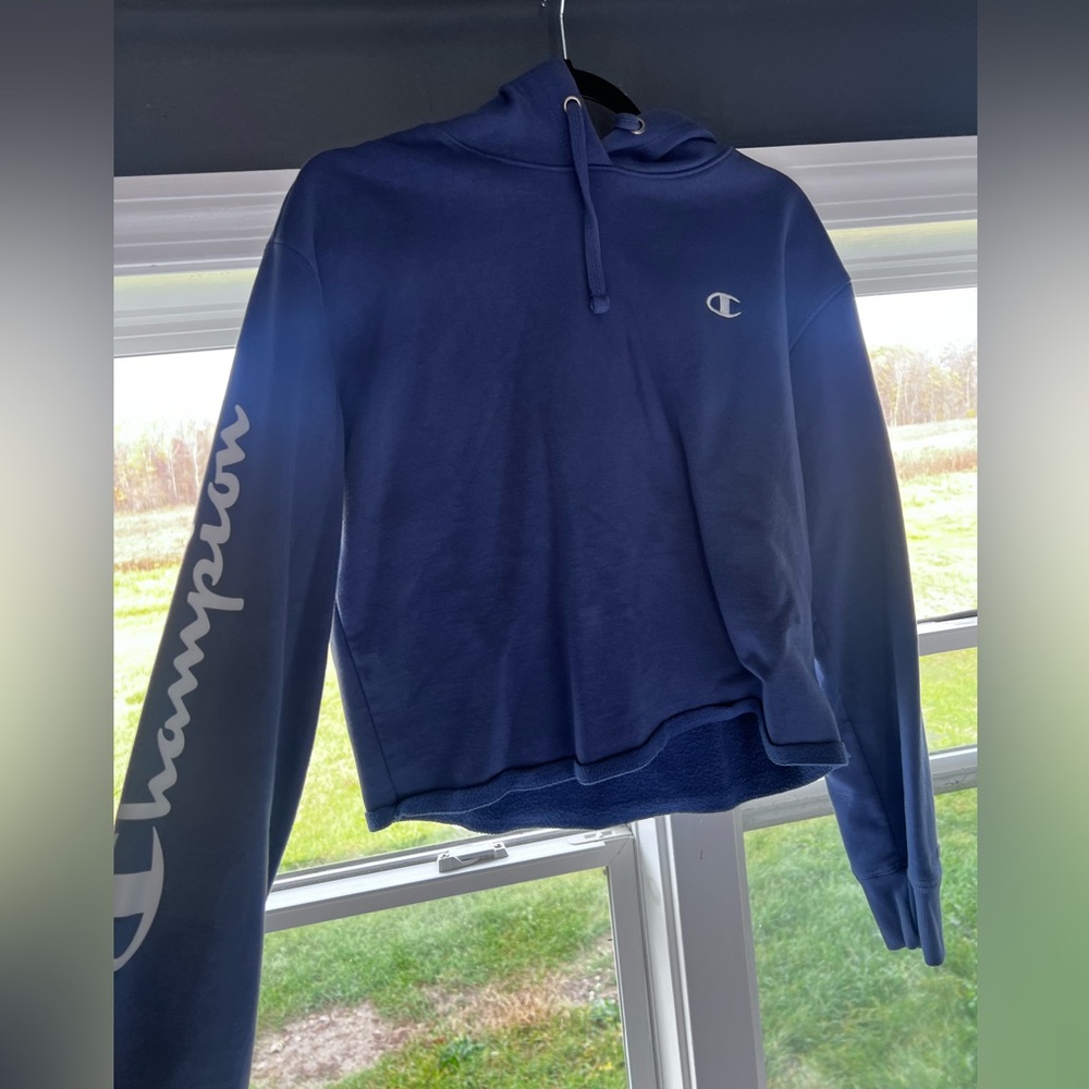 Champion cropped hoodie